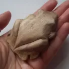Carved Fringed Leaf Frog