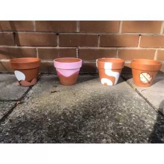 Painted plant pots 