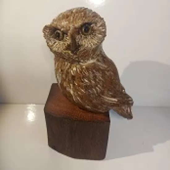 Owls on Oak
