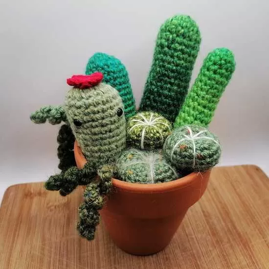 Crochet cacti. Various sizes.