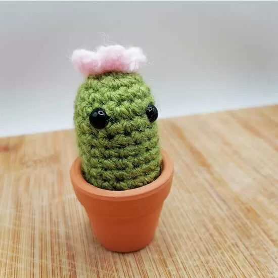 Crochet cactus in a 3cm terracotta pot. 