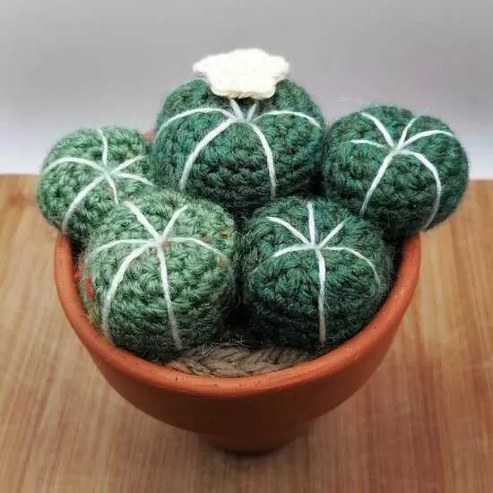 Cute Crochet cacti. Various sizes.