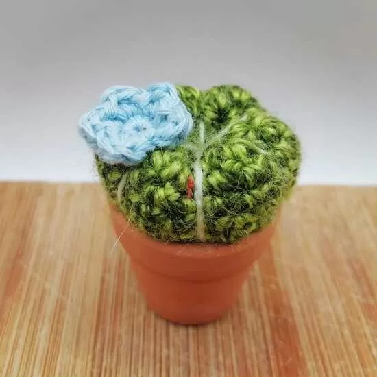 Cute crochet cactus or heart in a 3cm terracotta pot. 