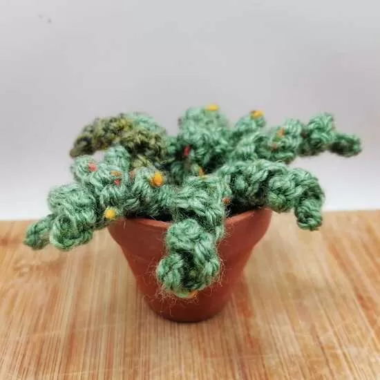 Trailing crochet plant in a 6cm terracotta pot. 