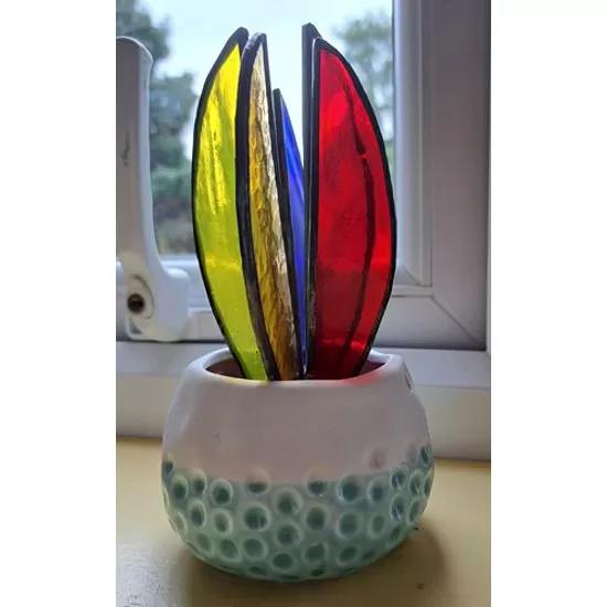 stained glass rainbow plant