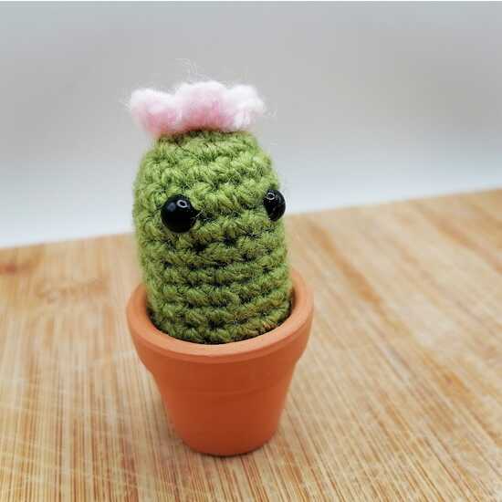 Cute crochet cactus in a 3cm terracotta pot. IN STORE